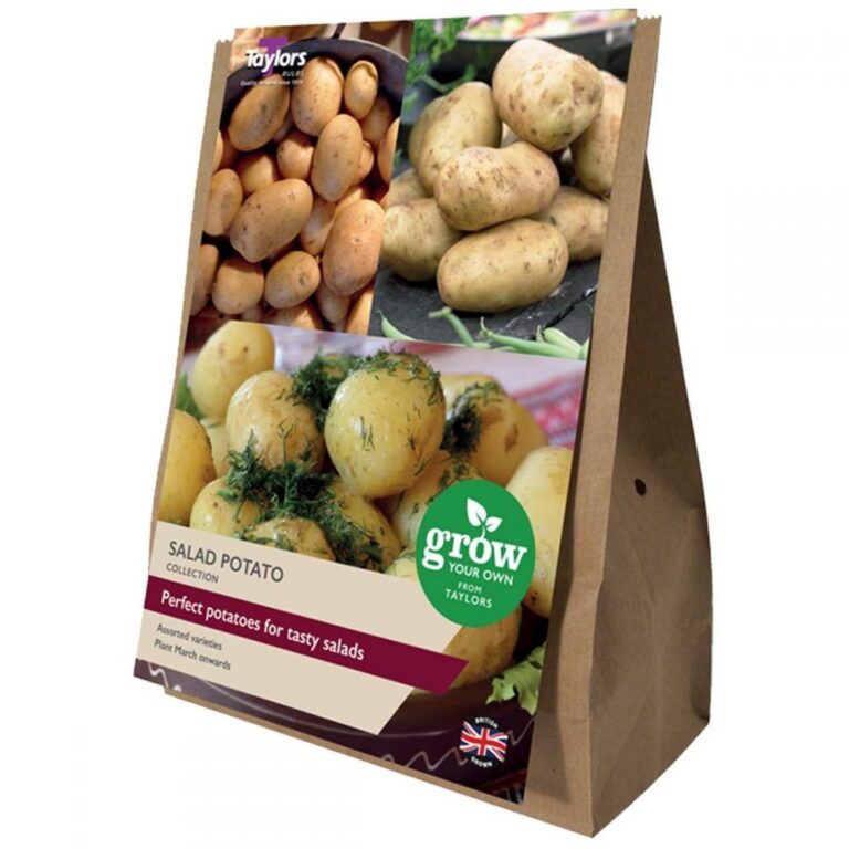 5015882038954 1 SALAD SEED POTATO COLLECTION.jpg